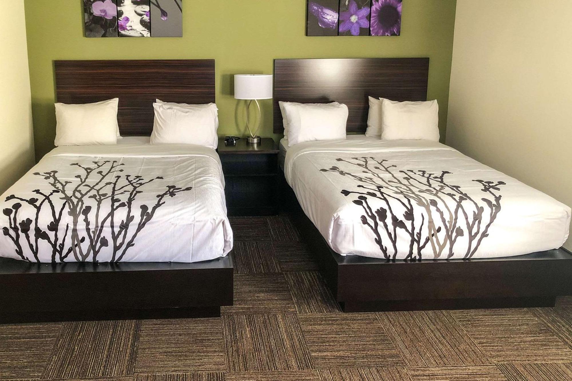 Saint-Jean-de-Boischâtel Sleep Inn & Suites Quebec City East מראה חיצוני תמונה